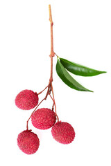 Close up of fresh tropical fruits Fresh red lychee on branches lychee with green leaves, Lychee has a sweet and sour taste, isolated on white background