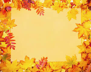 Frame of beautiful fall leaves with yellow empty paper sheet in center. Empty blank for greeting card or invitation. Autumn background, fall concept. Top view, copy space.