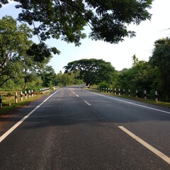 curve road in the forest