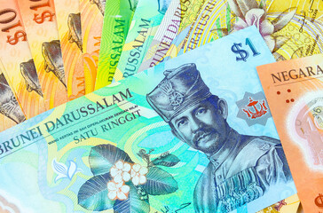 Close-up of colourful brunei dollar banknotes in various value $1, $5, $10, $100 over white. Focus on banknotes.