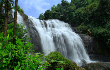 waterfall during the day
