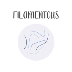 Filamentous bacteria. Irregular shapes of bacteria. Types and different forms of bacterial cells, classification. Morphology. Microbiology. Vector flat illustration