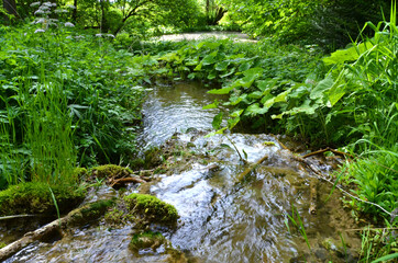 kleine Teichlandschaft in der Rhön