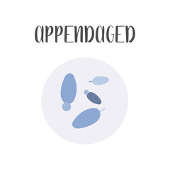 Appendaged bacteria. Irregular shapes of bacteria. Types and different forms of bacterial cells, classification. Morphology. Microbiology. Vector flat illustration