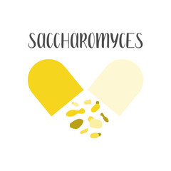 Saccharomyces. Probiotics. Lactic acid bacteria. Good bacteria and microorganisms for gut and intestinal flora health. Vector set