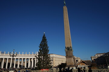 Obelisk and Christmas Tree in Vatican City State, Rome, Italy - イタリア ローマ バチカン市国	オベリスク クリスマスツリー