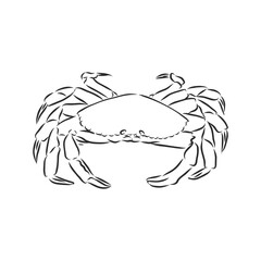 Sea blue striped illustration with crab, crab, vector sketch illustration