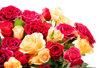 orange and red roses