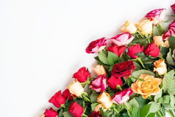 orange and red roses