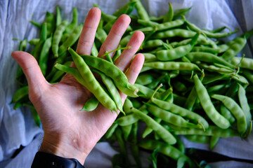 Pile of Green Beans