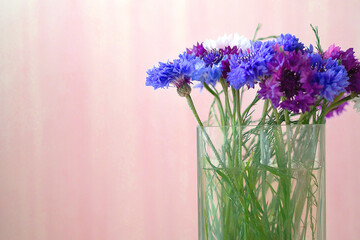 Front view of cornflowers in a vase on a pink background