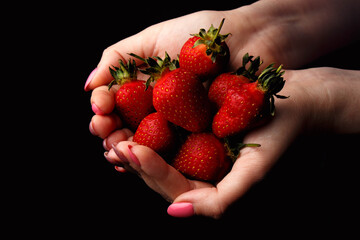 Girl holding ripe strawberries isolated on black background.