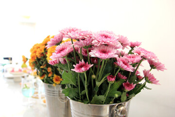 Flower for background,Close up Flower.Soft focus.