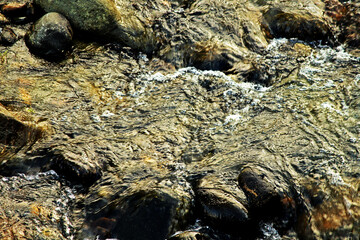 Rocks in stream with smooth flowing water Arunachal Pradesh