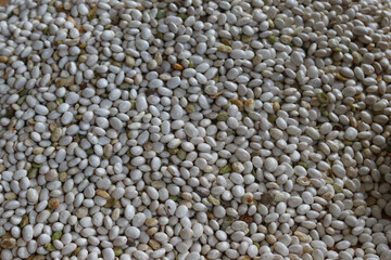 Harvested beans texture. Stock photo