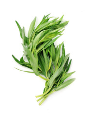 Fototapeta premium Tarragon herbs closeup