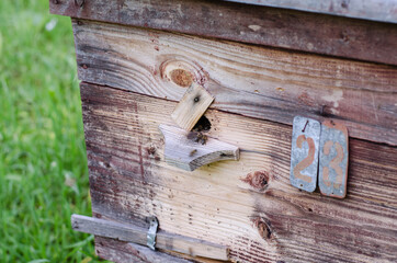 Wooden beehive. House for the bees. Apiary.