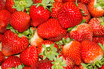 strawberries on a white