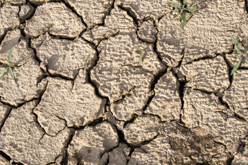 Dry cracked ground from above like a background or wallpaper