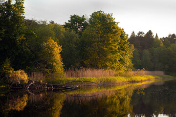 Landscape with fallen tree and grass near the river. Estonian nature on river named Pirita. orange sunset over river. evening time.