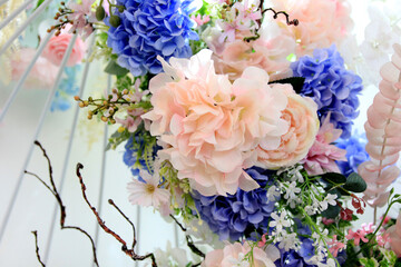 Flower rose for background,Close up rose flower.Soft focus.