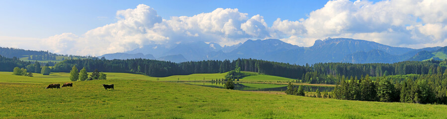 Fototapeta na wymiar Nesselwang - Attlesee - Panorama - Frühling 