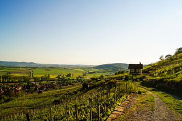 Fototapeta na wymiar Panoramic view of the small German village Unterjesingen (near Tuebingen, Germany) from a vineyard path in golden sunlight.