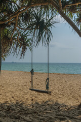 Wooden swing on the beach with tree in Phuket Island,Thailand. - 355905590