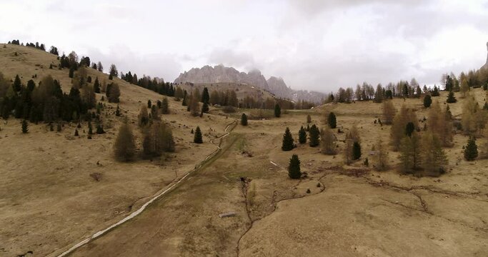 Spring Landscape, Aerial of meadows and trees with mountains in the background. Dolomites in the Alps, overcast day above Val gardena