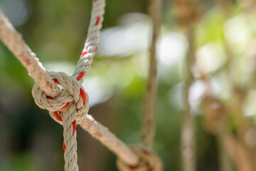 Close up of the rope ladder at playground in Thailand. - 355906119