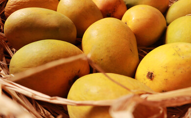Mangoes Delicious Organic Healthy Fruit