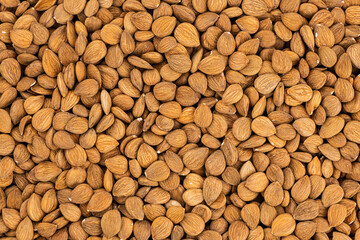 Apricot Kernels for use background or as texture