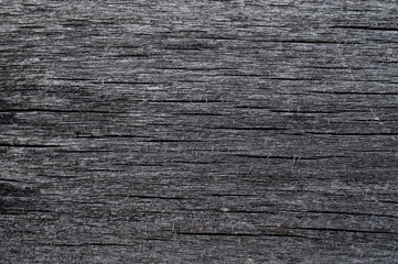 texture of an old tree.