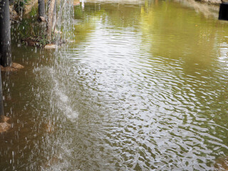 Beautiful waterfalls and green nature are all around beautiful Thailand.