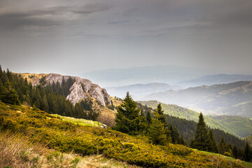 Mountains, hills and meadows on Kopaonik mountain in Serbia