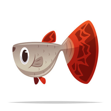 cartoon guppy fish red tail clip art preview