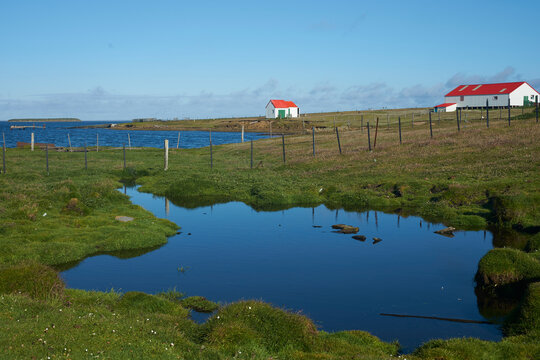 Farm buildings at the settlement on the coast of Bleaker Island in the Falkland Islands