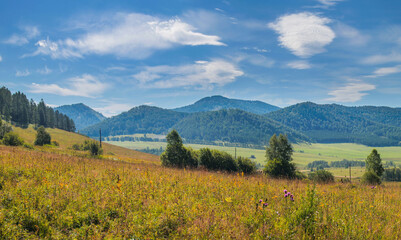 Fototapeta na wymiar View of a mountain valley. Meadow in the foreground, blue sky with clouds. Summer landscape.