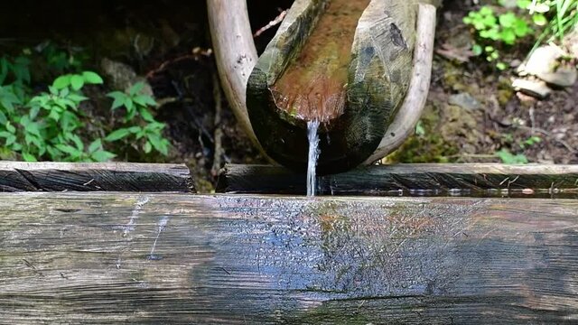 Drinking fountain built on natural mountain forest tree trunk