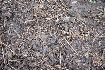 Soil with hay and manure