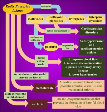 Radix Puerariae lobatae and interaction with methotrexate and warfarin (Source of information is "Herb-drug interaction studies of herbs..." by Shaikh, Thomas, & Chitlange)