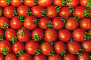 Fresh Organic Farm Tomatoes at food market