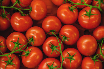 Fresh Organic Farm Tomatoes at food market