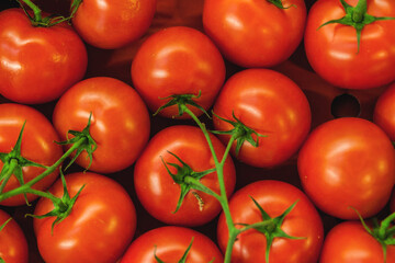 Fresh Organic Farm Tomatoes at food market