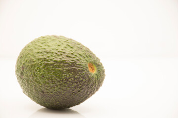 Avocado also called Persea americana.