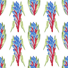 Seamless pattern of flowers of quesnelia on a white background. Watercolor hand draw illustration for fabric design.