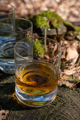 Tasting of scotch single malt whisky from Islay island, most intensely flavoured of all whiskies in Scotland