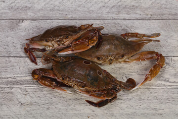 Raw crab - ready for cooking