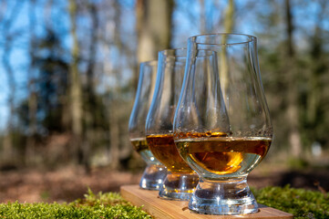 Tasting of scotch single malt whisky from Islay island, most intensely flavoured of all whiskies in Scotland