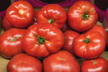 Fresh Organic Farm Tomatoes at food market